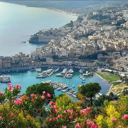 Little Italy * Castellammare del Golfo